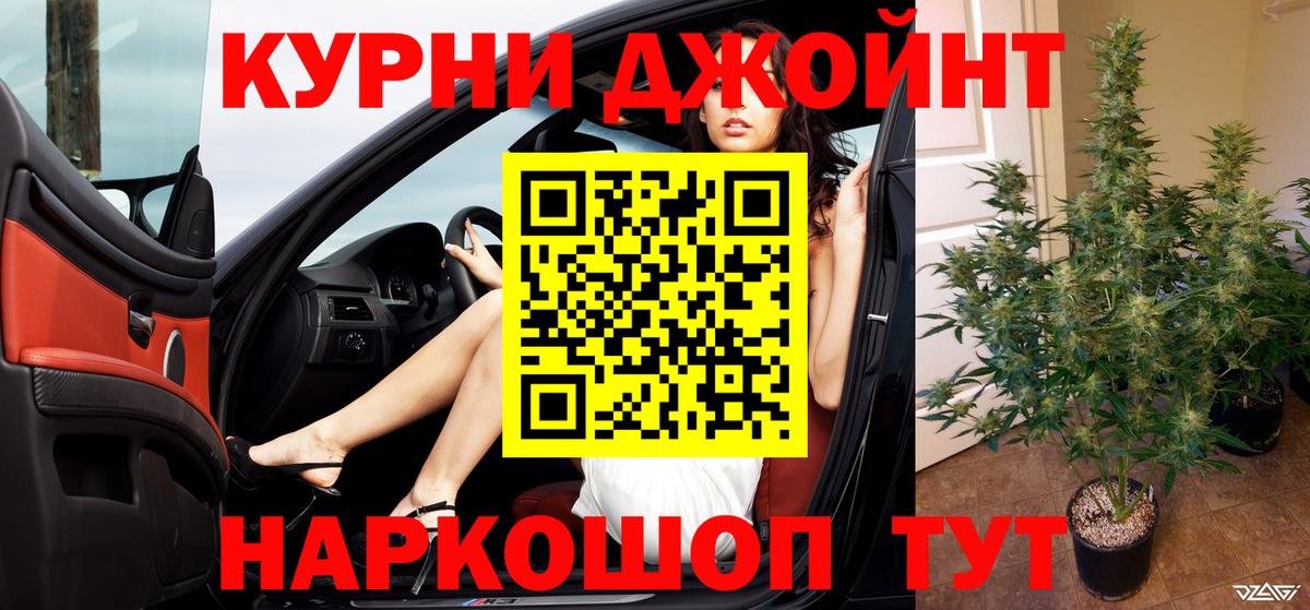 Канабис сатива Добрянка